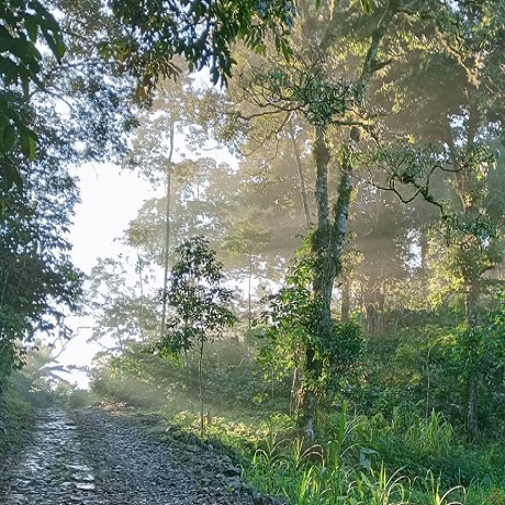 imagen de Villa Nueva.
